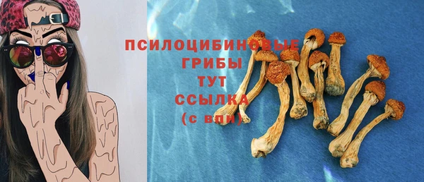 альфа пвп Гусь-Хрустальный
